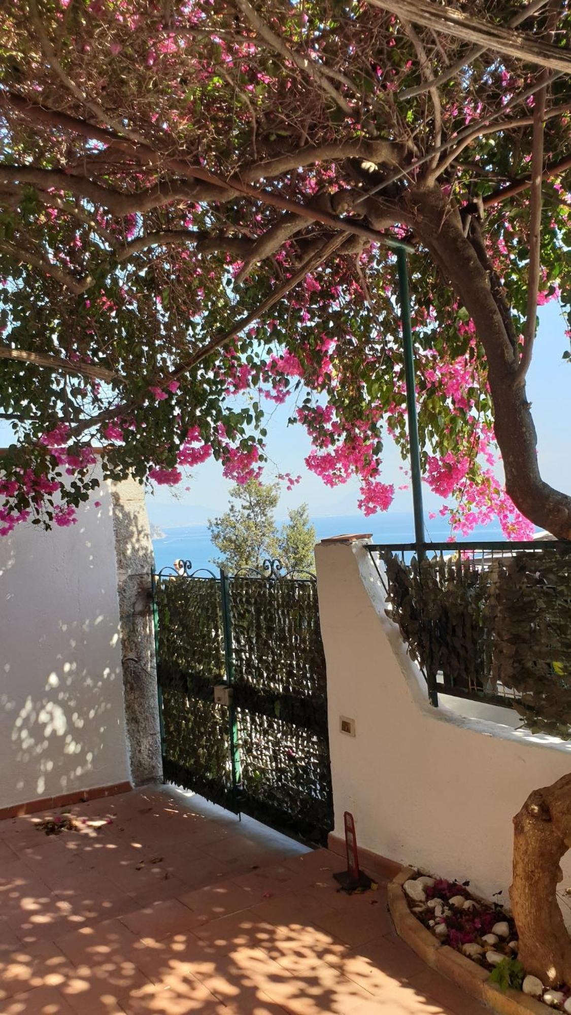 Villa Grace Amalfi Seaview Exterior foto
