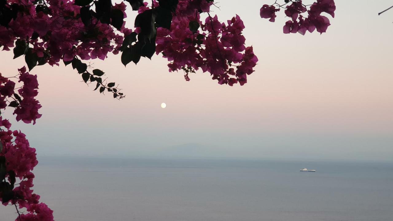 Villa Grace Amalfi Seaview Exterior foto